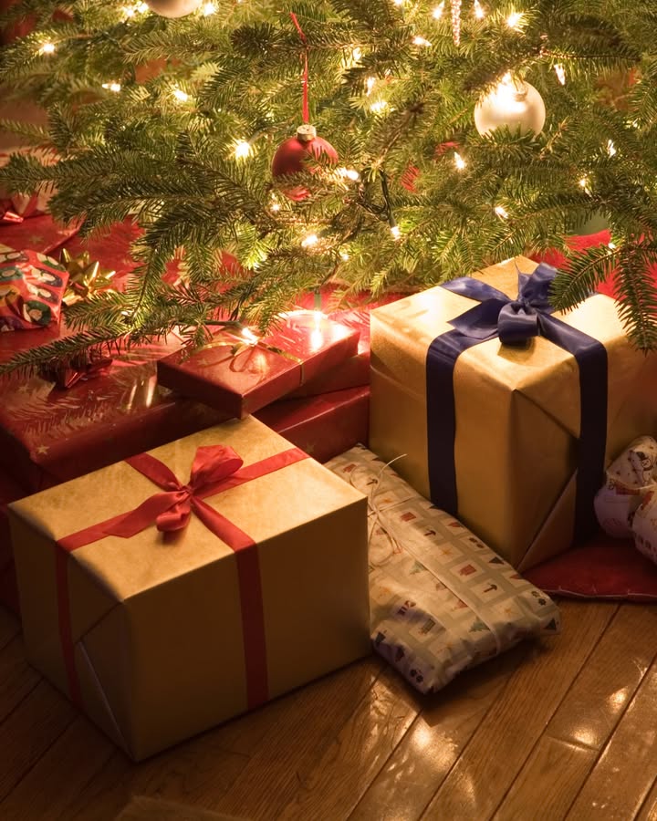 Featured image for “Biggest Toy & Electronics Raffle: Family Fun at Oak Flats Bowling Club”